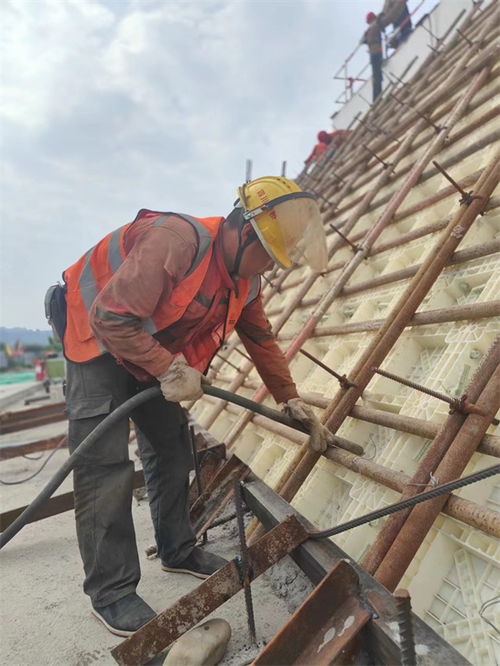 天眉乐高速青神虎渡溪岷江特大桥 加速建设，助力区域发展新动脉